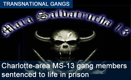 Charlotte-area MS-13 gang members sentenced to life in prison following ICE HSI investigation