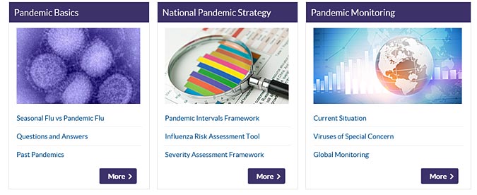 Seasonal and Pandemic Flu Content Moves to CDC