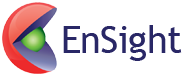 EnSight Logo