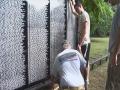 Vietnam Wall