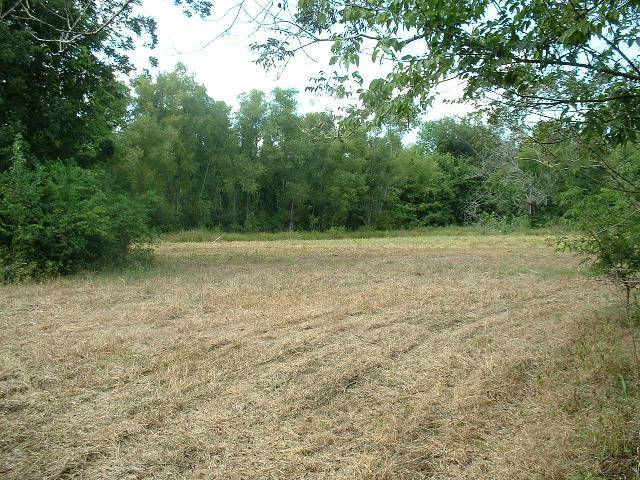 Plowed Food Plot