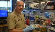 SILVER SPRING, Md. (Aug. 9, 2016) Cmdr. Michael Stockelman, deputy director of the Infectious Diseases Directorate at the Naval Medical Research Center, shows petri dishes containing pathogens used in phage research. The Naval Medical Research Center, in collaboration with the Walter Reed Army
Institute of Research, successfully combated an antibiotic-resistant infection in a laboratory model through bacteriophage therapy, which uses viruses found in the environment that are known for their activity against bacteria. (Photo by NMRC Public Affairs)