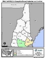 Map of declared counties for [New Hampshire Severe Storm and Snowstorm (DR-4049)]