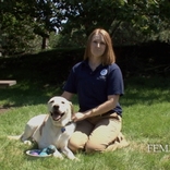 Video cover photo: Get Your Pets Ready For Emergencies