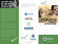 Cover photo for the document: Preparing Your Pets for Emergencies Makes Sense. Get Ready Now. - Hindi Language