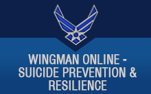 Wingman online graphic