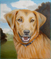 Win a Portrait of Your Pet Add a Fun & Cool Pet-friendly pick or…