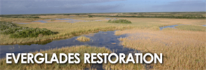 Everglades Web Ad