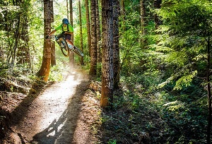 Alsea Fall Trail System in Oregon. Photo by BLM Oregon.