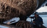 BIOFOULING