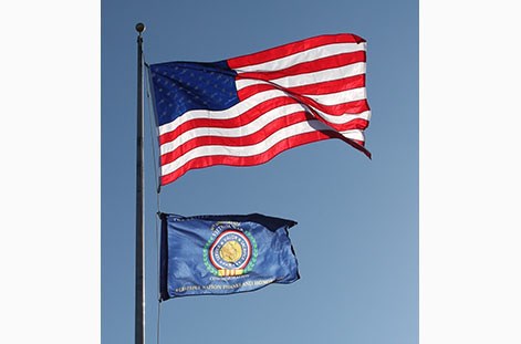 Vietnam Veterans Day Flags