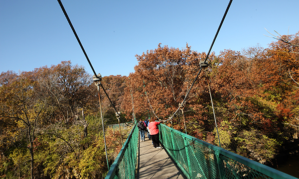  Suspension Bridge over Rock Creek