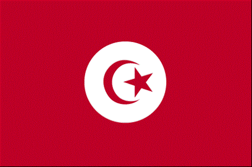 Placeholder Flag