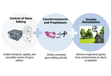 DARPA's Safe Genes program aims to develop a layered biosafety and biosecurity toolkit that will help reduce potential risks and encourage innovation in the field of genome editing.