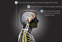 As envisioned by DARPA, the external TNT device will deliver safe and precise stimulation through the skin at specific points in the training process to release neuromodulators that promote synaptic plasticity. This triggered reorganization of neuronal connections in response to specific experiences is expected to accelerate learning and support long-term retention of learned skills.  