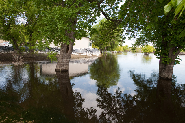 Jamestown, N.D., June 13, 2009 -- Homeowners near the James River continue to fight floodwater with a temporary sandbag levee.  Residents of the area have been trying to protect their homes from the rising river since April.  Photograph by Samir Valeja/FEMA