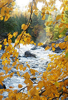 Autumn scene of the Black River above waterfall at Pattison State Park.