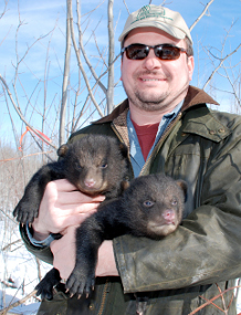 A DNR employee holding two bear cubs