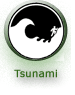 Tsunami Icon