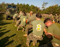 'Marines with 8th Communications Battalion compete in a 7-ton pull during the Praetorian Challenge at Camp Lejeune, N.C., Nov. 3, 2016. The Praetorian Challenge included a series of physical competitions between the units of II Marine Expeditionary Force Headquarters Group to see which unit would overcome the rest to receive a trophy and the opportunity to defend it next year. (U.S. Marine Corps photo by Lance Cpl. Damarko Bones)'