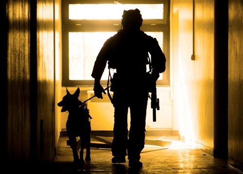 A dog handler with U.S. Army Special Forces clears a building during a close-quarters battle demonstration for Marines with Special-Purpose Marine Air-Ground Task Force Crisis Response-Africa in Baumholder, Germany, March 9, 2015. The use of military dogs is an efficient way to detect hazardous materials and locate individuals within a structure. (U.S. Marine Corps photo by Sgt. Paul Peterson/Released)