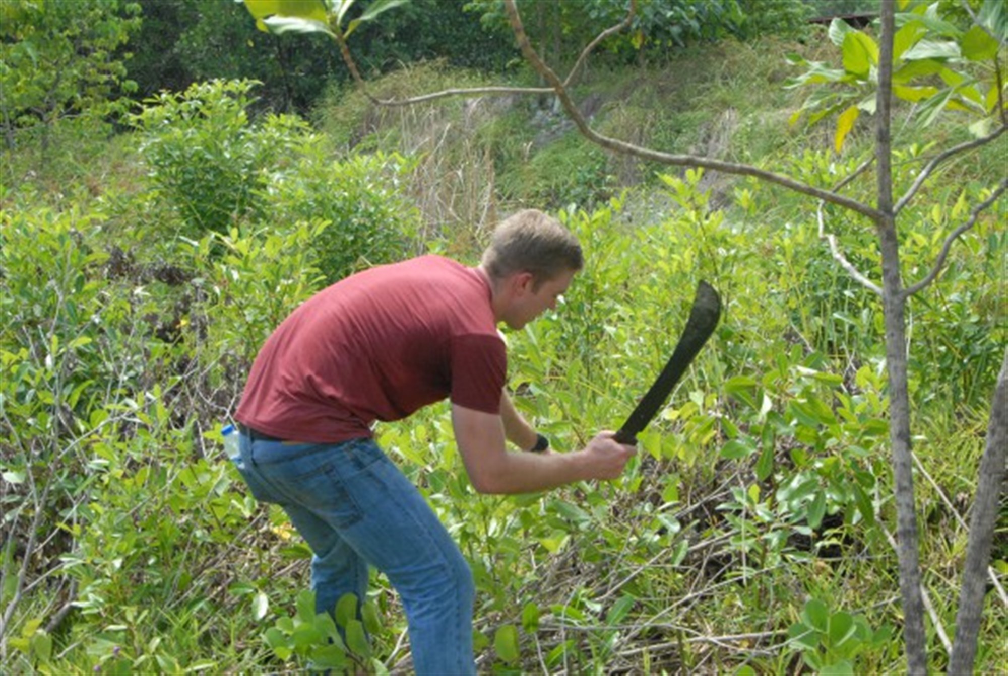 Fire Controlman 3rd Class Matthew Elliot, assigned to USS James E. Williams (DDG 95), cuts down invasive plants during a community relations event here, Nov. 14, 2014. James E. Williams, an Arleigh Burke-class guided-missile destroyer homeported in Norfolk, is conducting naval operations in the U.S. 6th Fleet area of operations in support of U.S. national security interests in Europe (US Navy photo by Ensign Michael Scarborough)