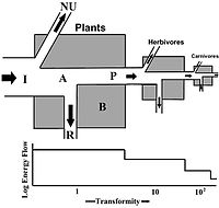 EnergyFlowTransformity.jpg