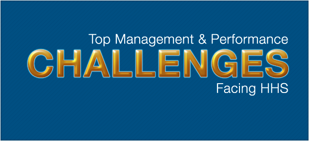Top Management & Performance Challenges