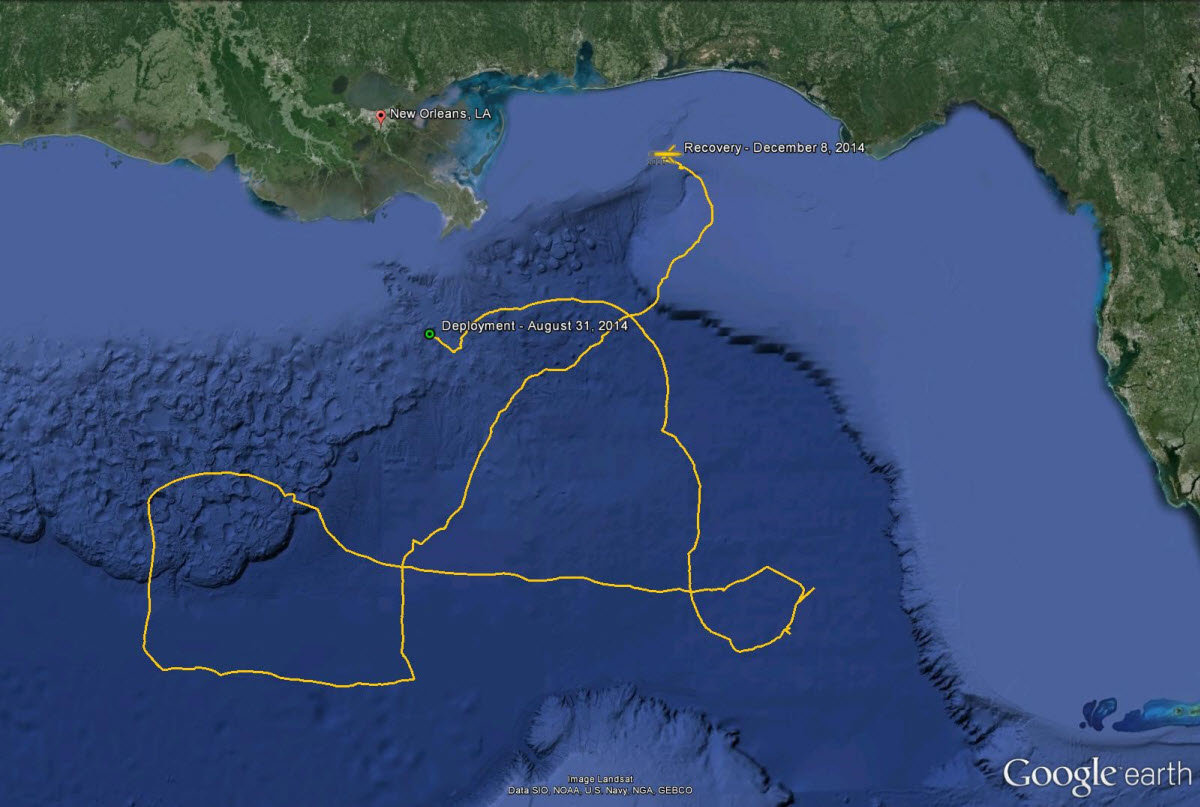 This Google Earth image shows the 1500-mile path taken by the Navy glider during its deployment Aug 31-Dec. 8, 2014.  