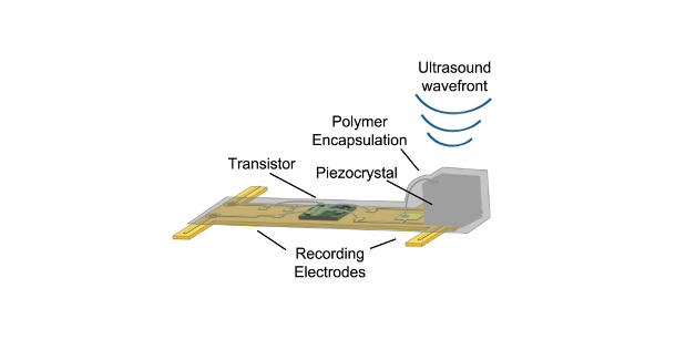Each neural dust sensor consists of only three main parts: a pair of electrodes to measure nerve signals, a custom transistor to amplify the signal, and a piezoelectric crystal that serves the dual purpose of converting the mechanical power of externally generated ultrasound waves into electrical power and communicating the recorded nerve activity. Image courtesy of DARPA.