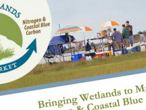 Screen capture from Bringing Wetlands to Market