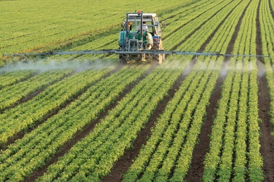 Farmer working a field of crops