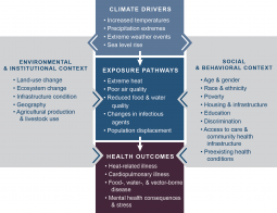Figure ES2: Climate Change and Health