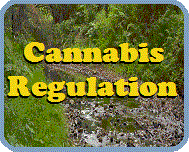 Cannabis Regulation