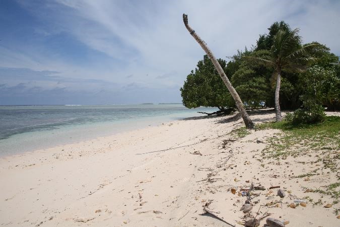 a sandy beach