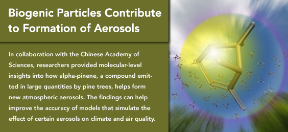 Biogenic Particles Contribute to Formation of Aerosols