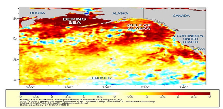 Scientists Watch Unusually Warm Waters in Pacific