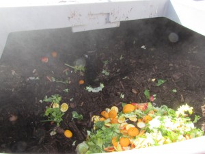 composting materials stored in one place