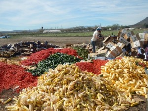 Large piles of food in a field with a stack of boxes next to them.