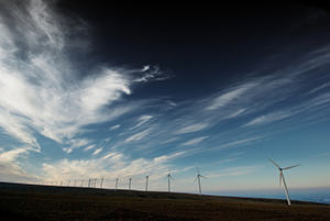 How the Wind Blows