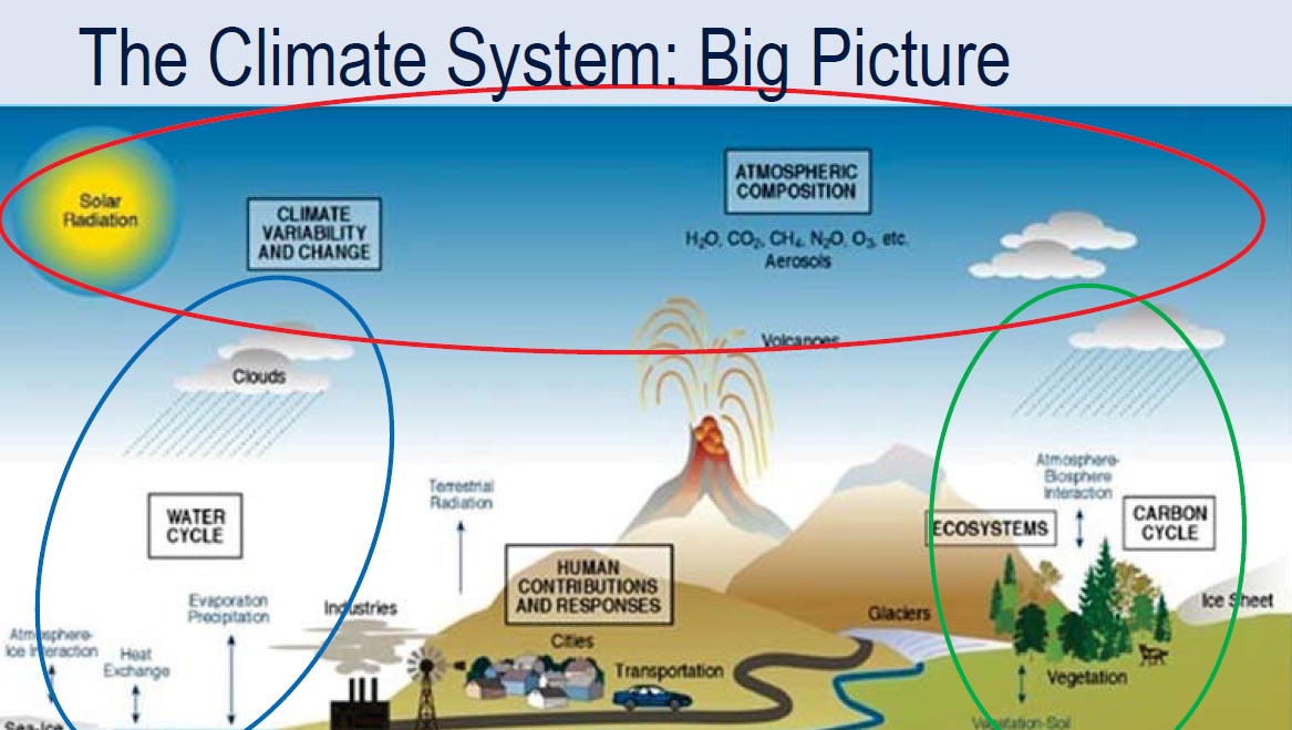 The Connectedness in the Climate System