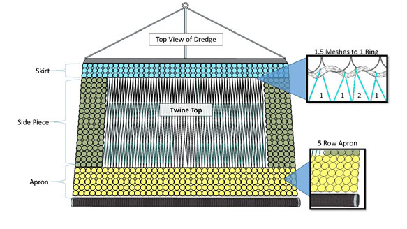  Dredge gear configuration required if the SNE/MA windowpane flounder accountability measure is in place