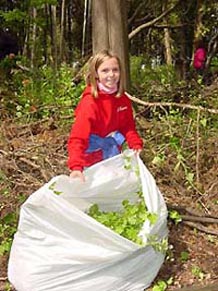 Girl with a large bag of garlic mustard plants