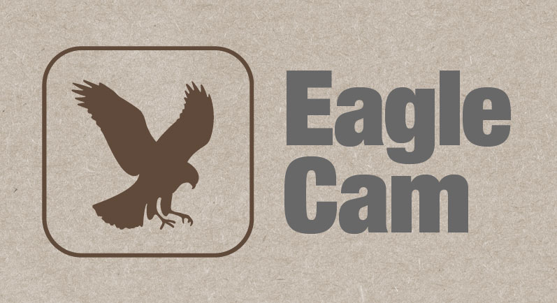 Eagle Cam