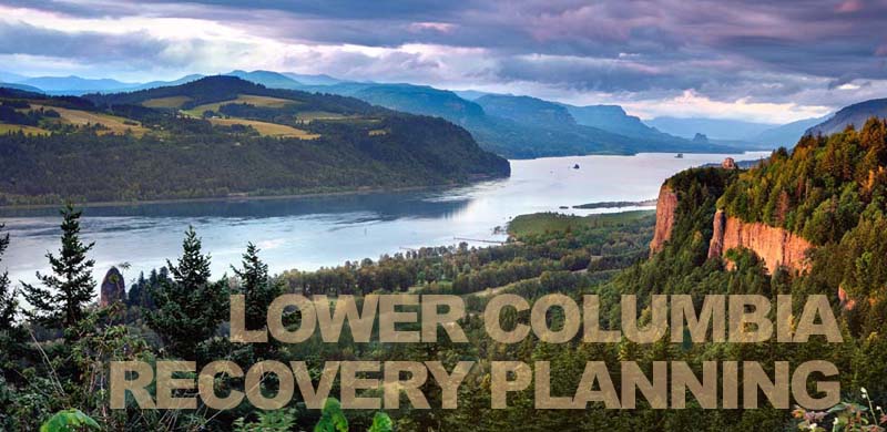 Newly adopted Recovery Plan guides restoration of lower Columbia River salmon & steelhead
