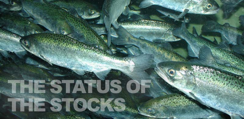 Status of Stocks 2012