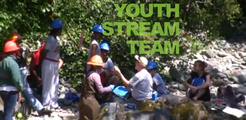 Youth Stream Team