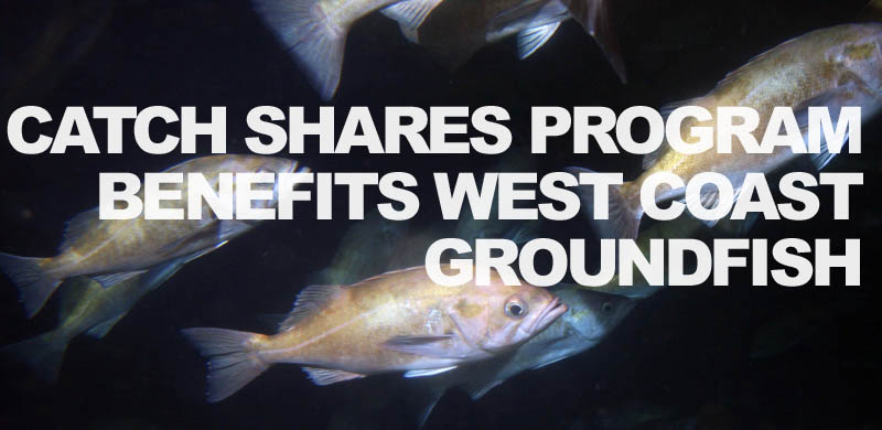 The West Coast groundfish fishery has received its “sustainable” certification from the international Marine Stewardship Council.