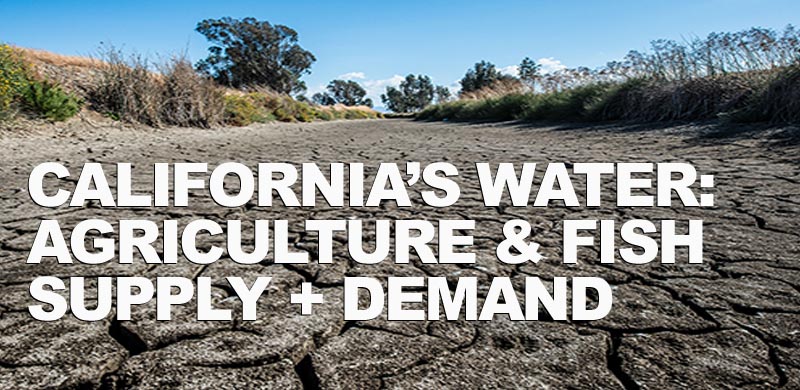 California Drought: A Changing Landscape