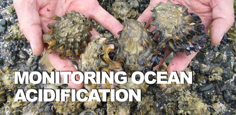 Turning the High Beams on Ocean Acidification